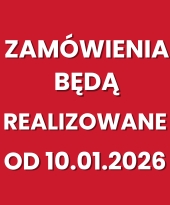 REALIZACJA ZAMÓWIEŃ PO 10.01